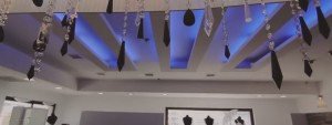 עדיה מחיר מנה  (3)